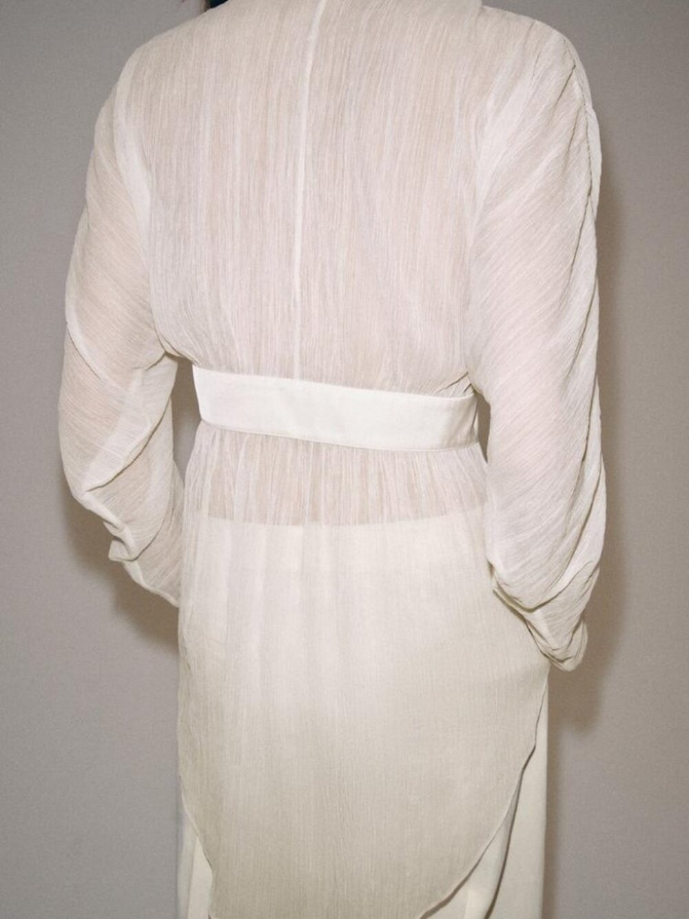 Zara Sheer Cream Button-Front Blouse - Picture 7 of 10
